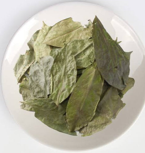 Dried Soursop Leaves